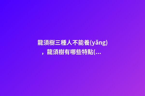 龍須樹三種人不能養(yǎng)，龍須樹有哪些特點(diǎn)